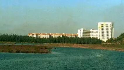 摄于1990年1月，这是在海口龙昆沟入海口附近拍摄的泰华酒店方向